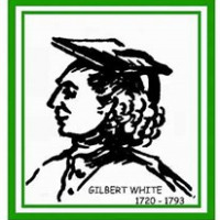 The Selborne Society Ltd.,  avatar image